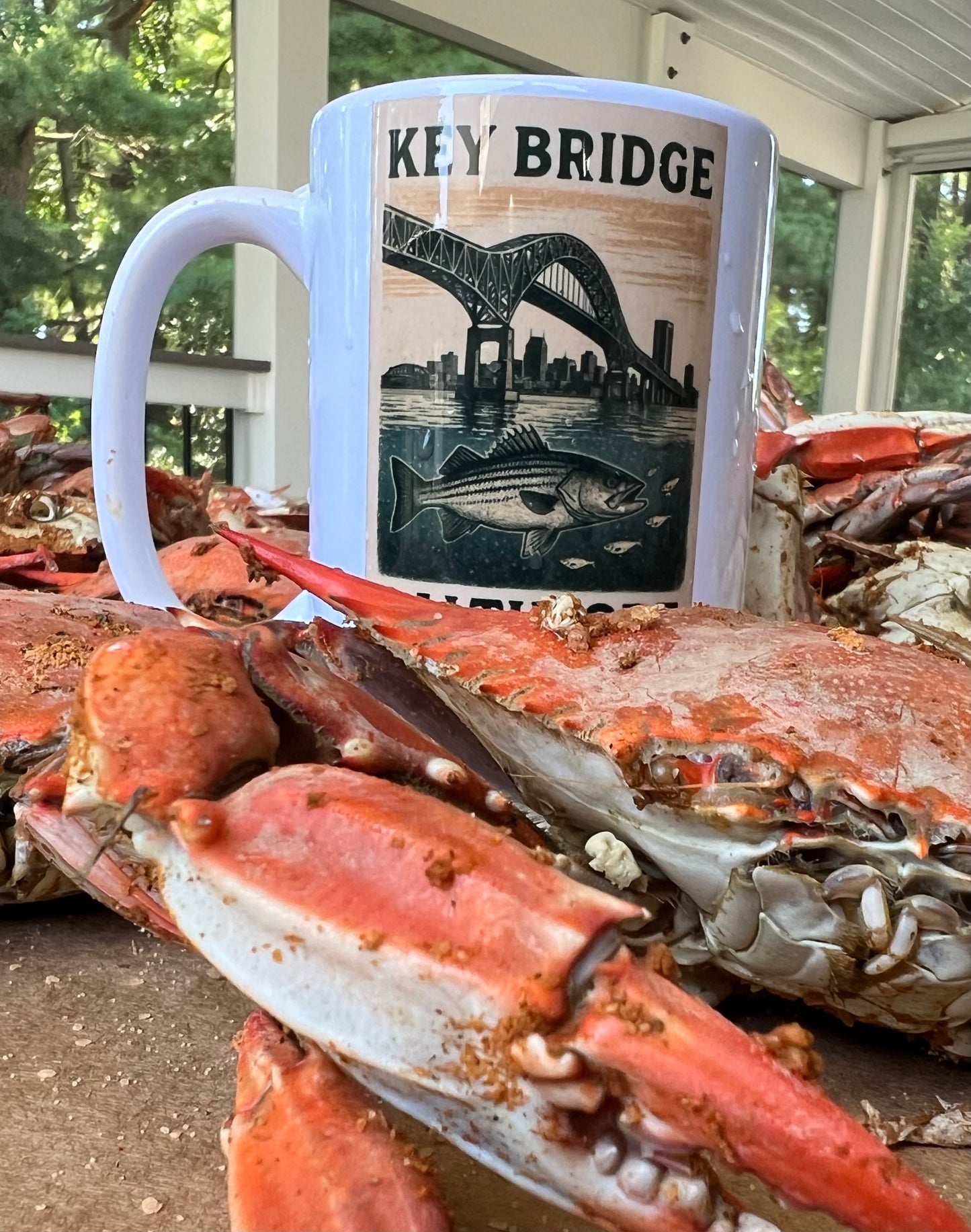 Key Bridge Baltimore Vintage Mug