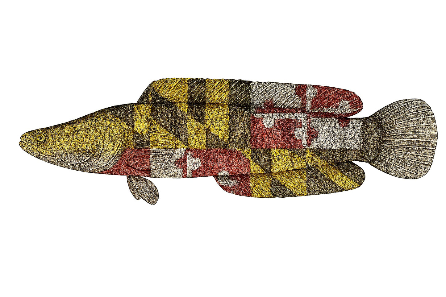 Snakehead MD Flag Pint Glass