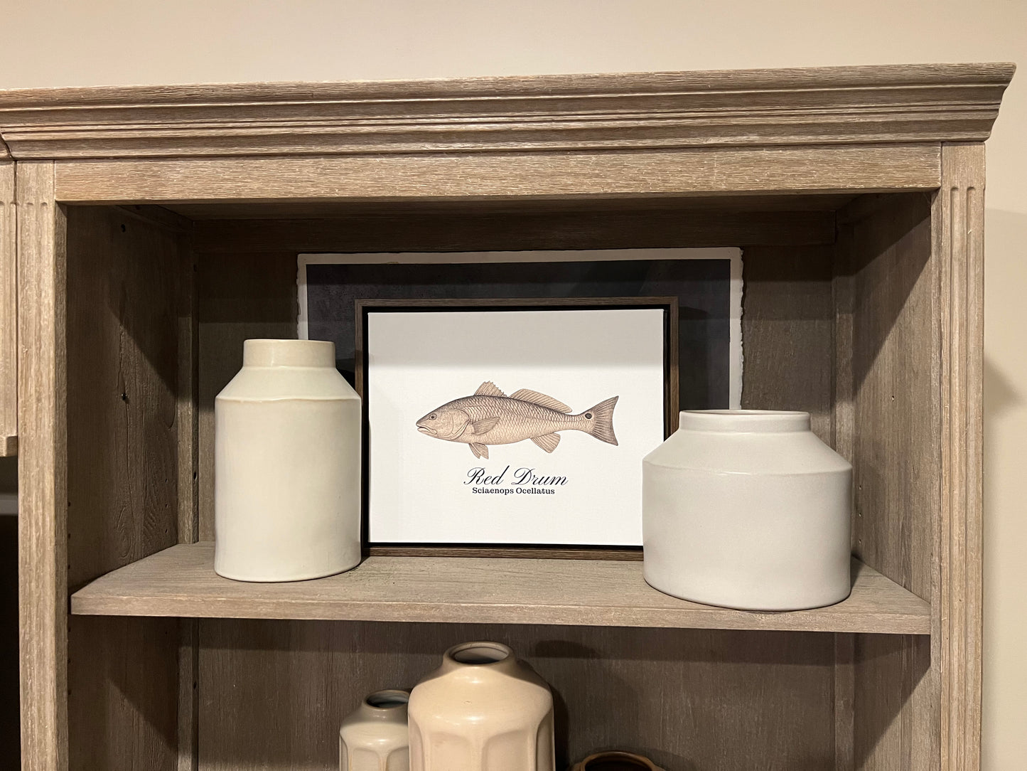 White Perch Framed Canvas